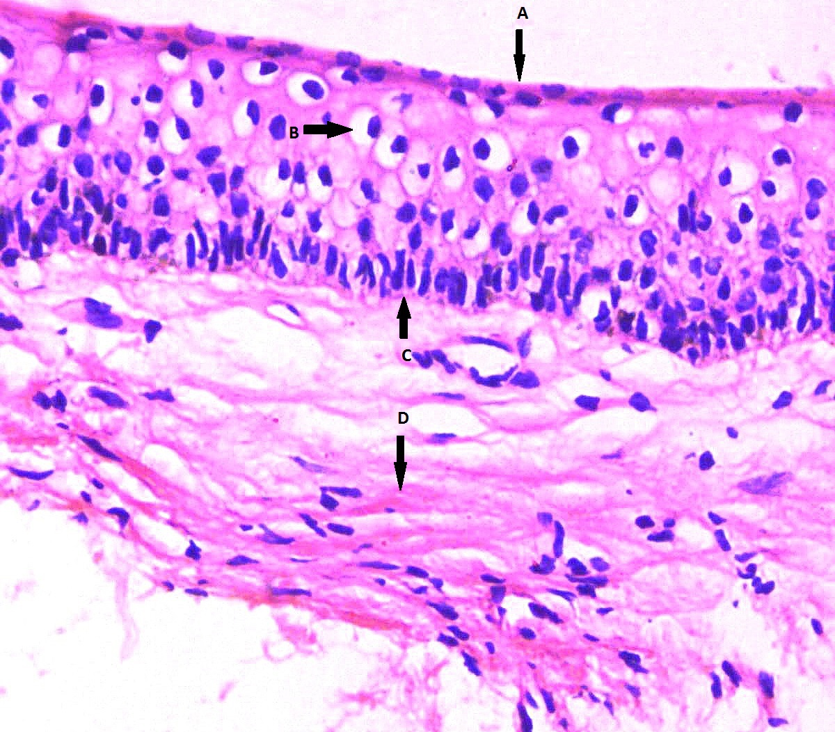 2089746_File000001.jpg