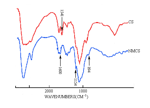 <b> FTIR spectrum of CS and NMCCS</b>