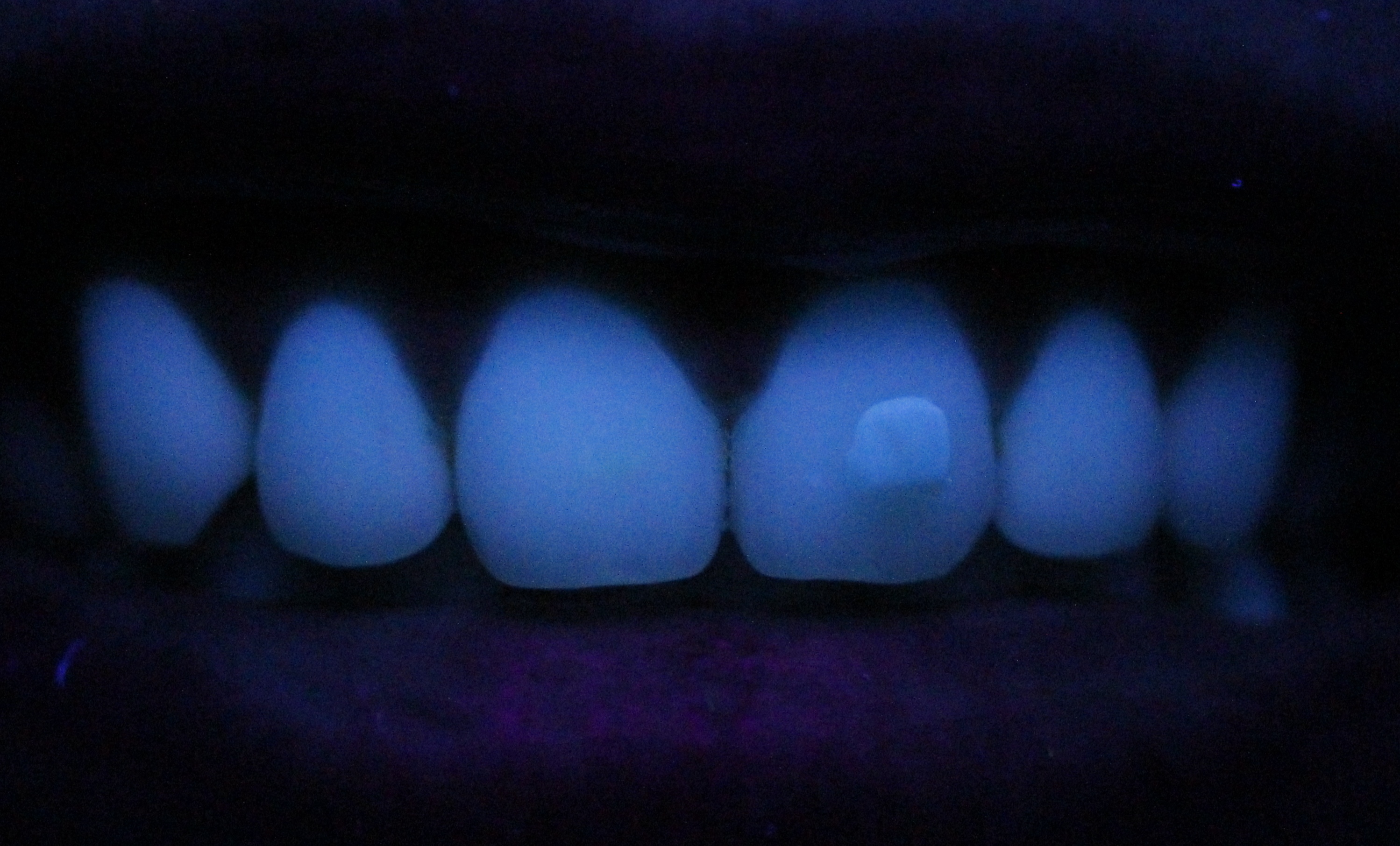2108255_File000000.JPG