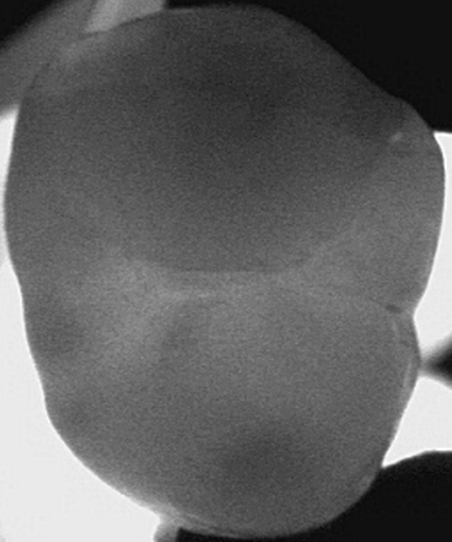 2910029_File000002.jpg