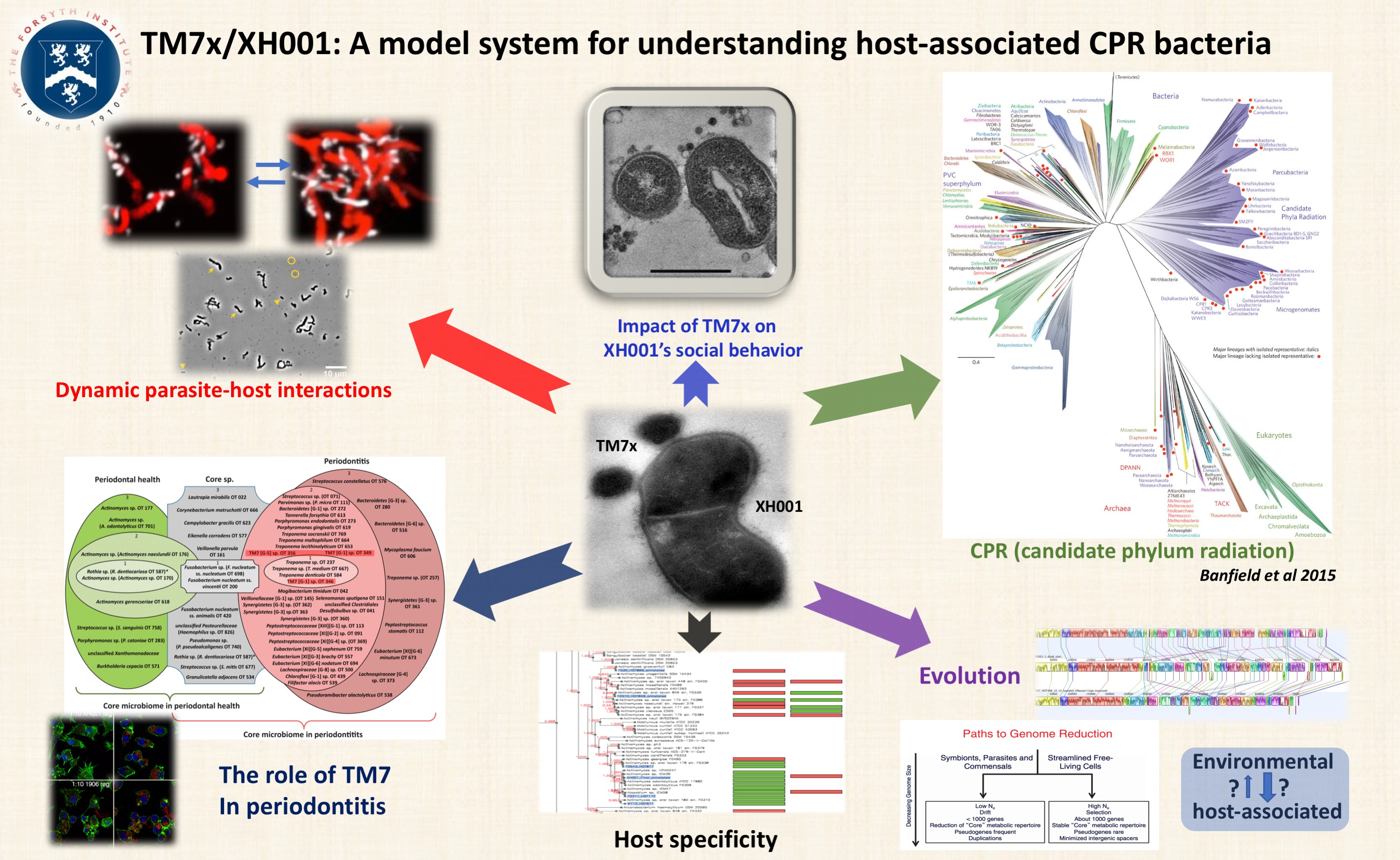 TM7x/XH001: A model system for understanding host-associated CPR bacteria<br />