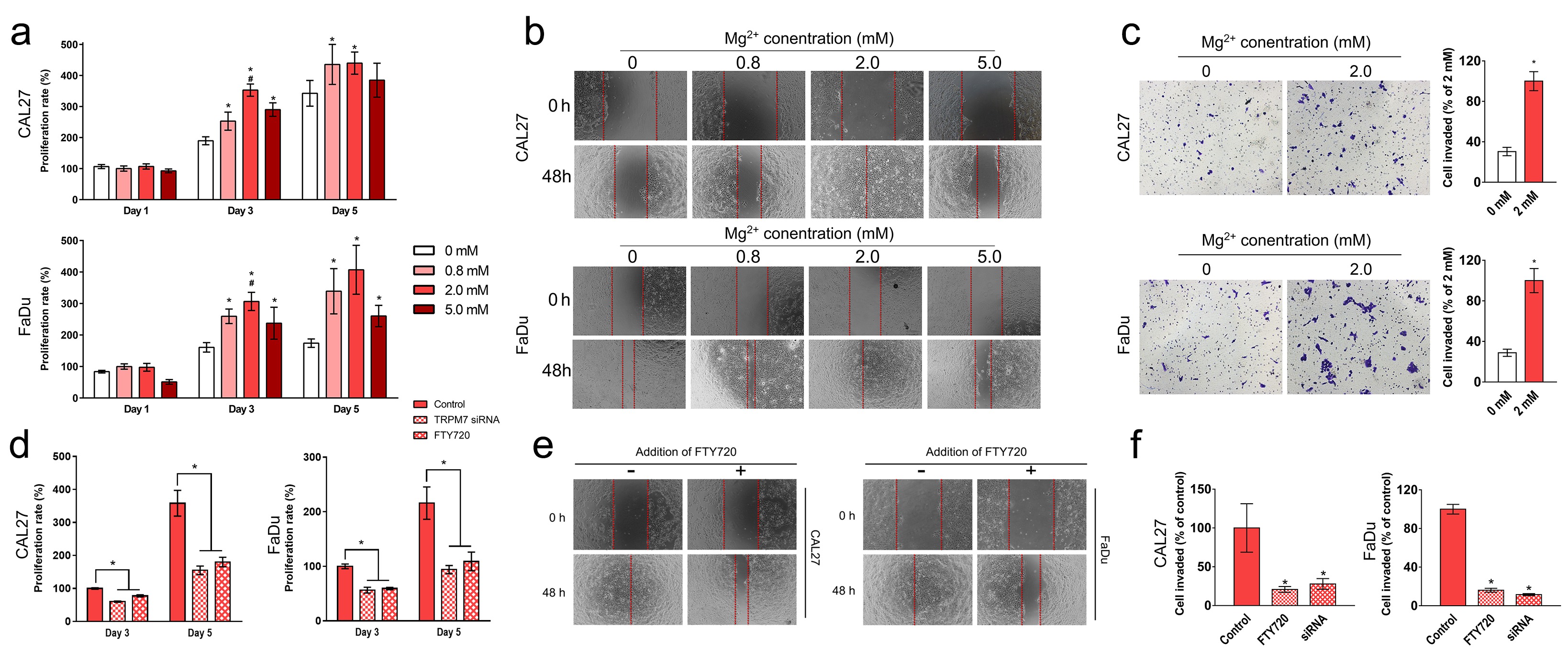 Figure 1. A moderate increase in extracellular magnesium concentration contributes to increased proliferation (a), migration (b) and invasion (c) of CAL27 and FaDu cells. However, inhibition or blockage of TRPM7 channel resulted in decreased proliferation (d), migration (e) and invasion (f) of the two cell lines.
