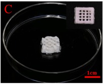 DBB/CoL 3D printing scaffold