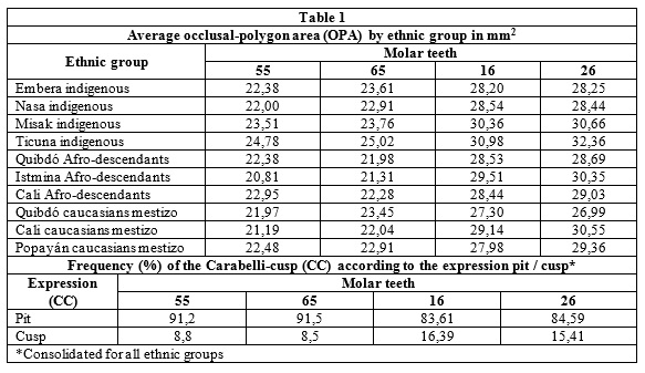 Average occlusal-polygon area (OPA) by ethnic group in mm<sup>2 </sup>and frequency (%) of the Carabelli-cusp (CC) according to the expression pit/cusp