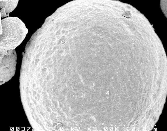 Ti powder particle (MAH)