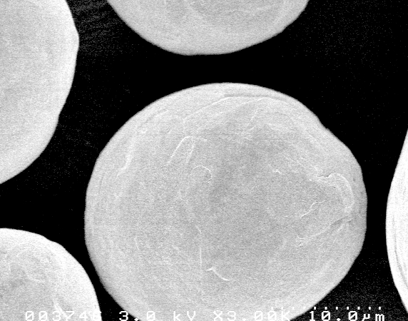 Ti powder particle (untreated)