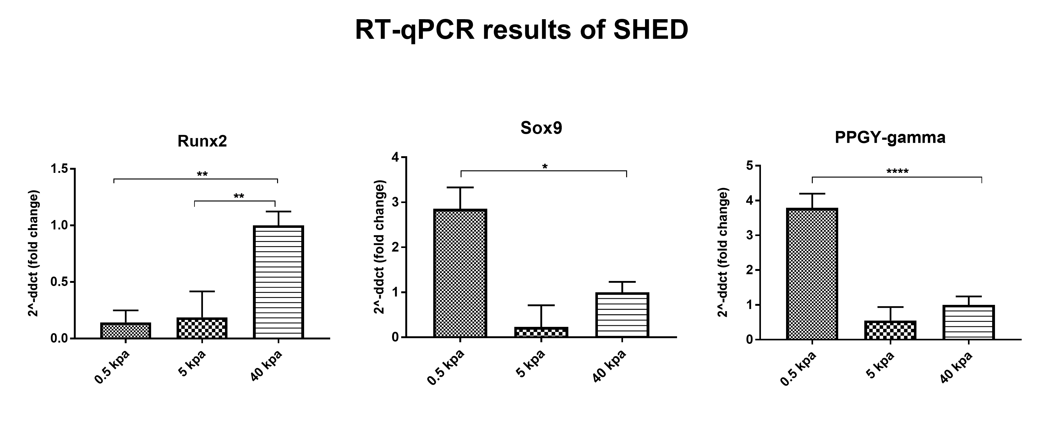 Fig 3: RT-PCR analysis of lineage-specific markers in SHED cultured on hydrogels with different rigidity for 14 days. Data have been firstly normalized to the reference gene <i>(RPL13a2)</i>, and then normalized to that of group 40 Kpa. Data are presented as mean ± SEM (n = 3). Statistical analysis: *P<.05,**P<.01,***P<.001.