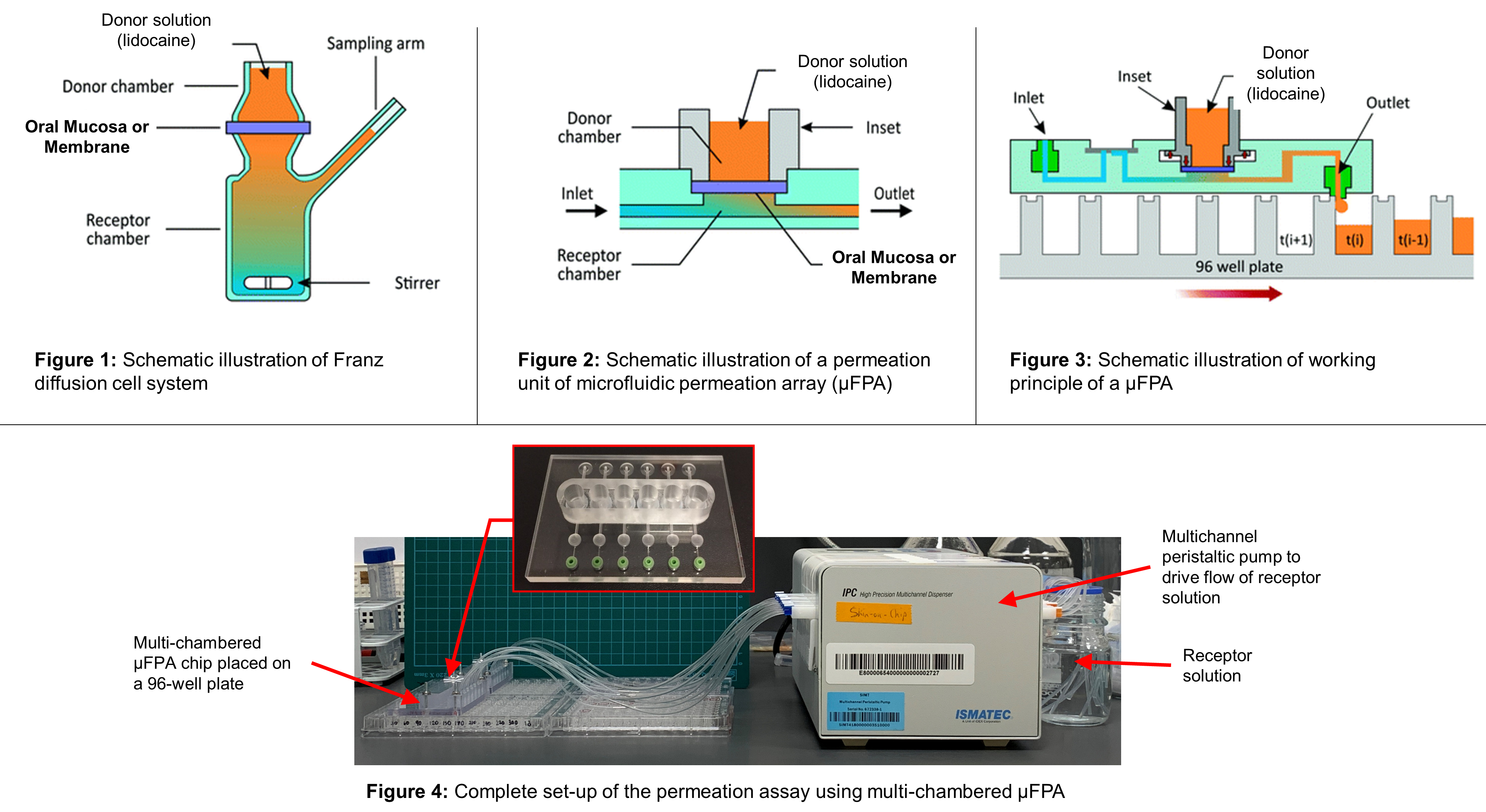 Complete set-up of the permeation assay using multi-chambered μFPA