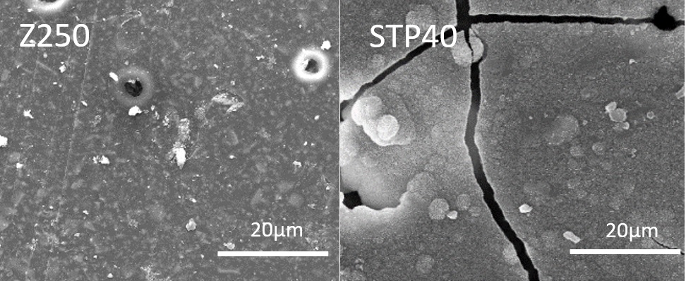 Fig-3 shows SEM images of Z250 and STP40 after 28 days in SBF. Potential apatite precipitation is seen on the surface of disc STP40 after 28 days in simulated body fluid as confirmed by EDX. Commercial Z250 showed no apatite formation on its surface (<i>n</i> = 3).<br />