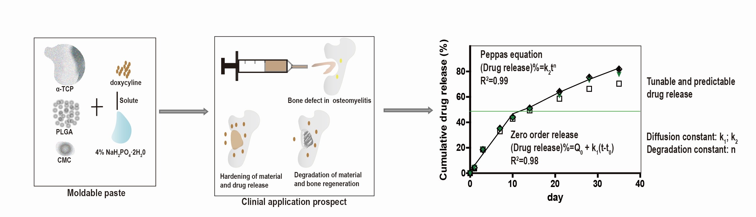 Degradable osteoconductive CPCs would combine management of the bone defect after sequestrectomy and bone reconstruction for one-stage procedures. Tunable and predictable drug release and degradation of the carrier material is especially important for personalized treatment of osteomyelitis.