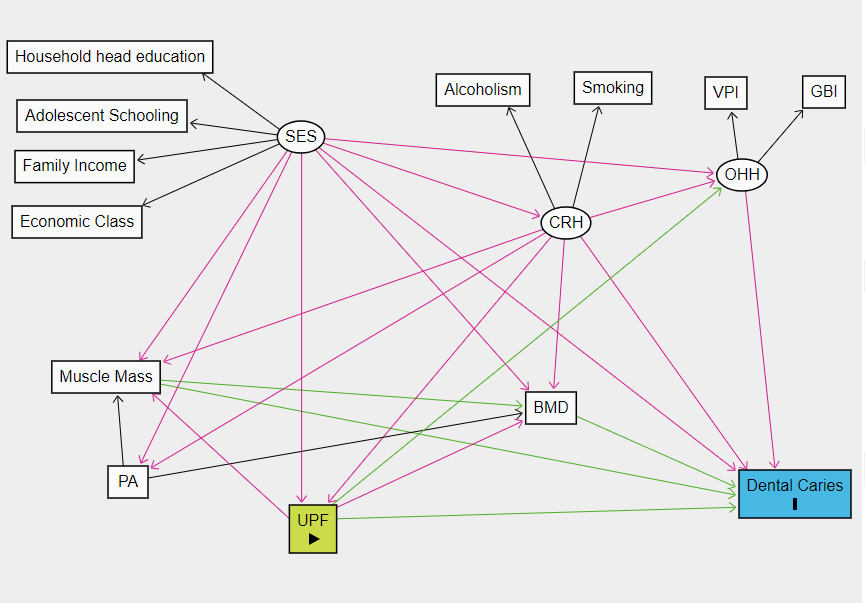 Fig.1 A theoretical model for the association between UPF consumption and dental caries in adolescents aged 18-19. São Luís, Maranhão, Brazil, 2016.<br />
SES: Socioeconomic Status; PA: Physical Activity; UPF: Ultra-Processed Foods; CRH: Concurrent Risk Habits; BMD: Bone Mineral Density; OHH: Oral Hygiene Habits; VPI: Visible Plate Index; GBI: Gingival Bleeding Index.