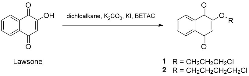 Figure 1. Synthesis of the 2-(chloroalkyloxy)naphthalene-1,4-dione derivatives