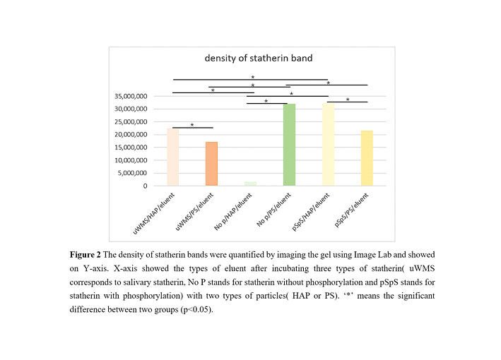 Density of statherin bands bound on particles.