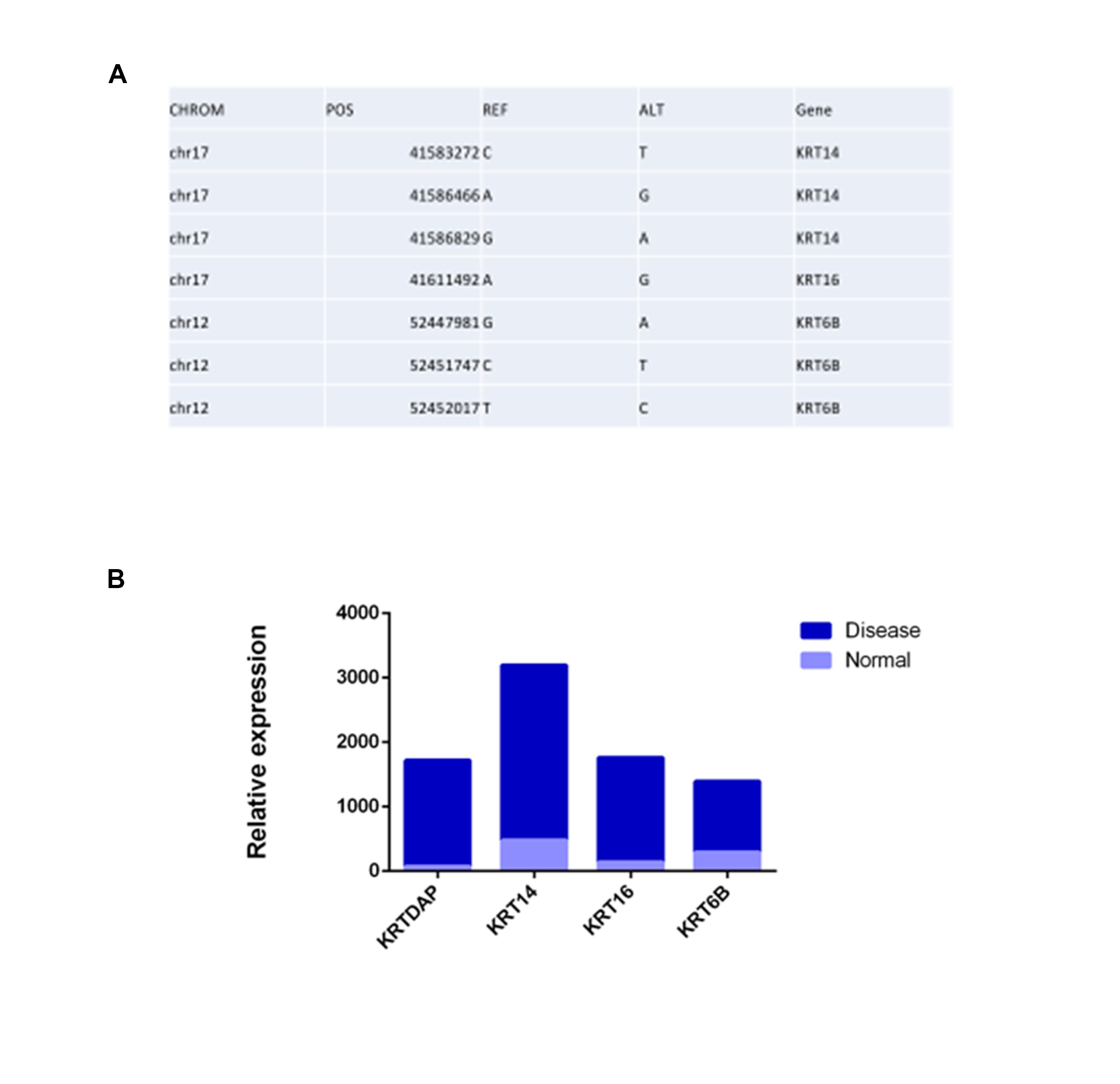 FIG.1 SNPs and different expressions are discovered based on the sequencing data. (A) Keratinization related SNPs, and (B) differently expressed keratinization-related genes are identified.