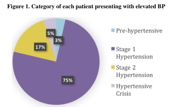 Figure 1. Category of each patient presenting with elevated BP<br />