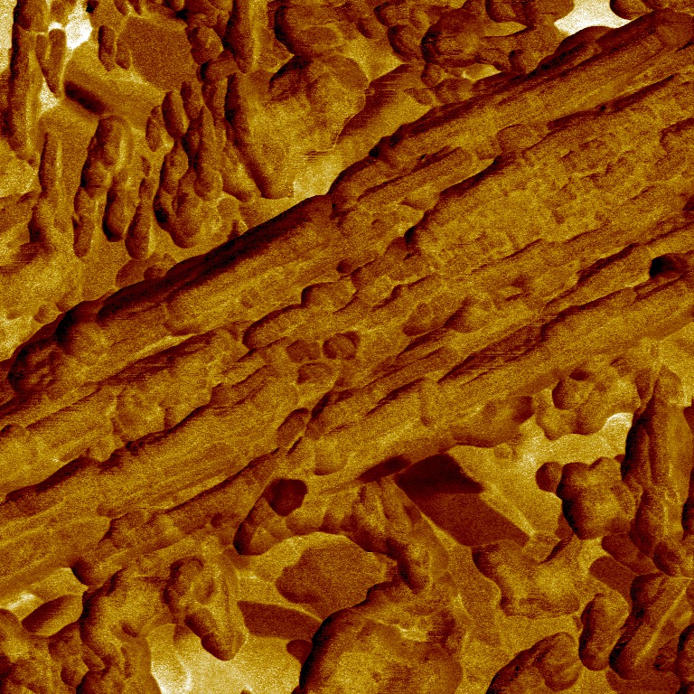 eMax CAD surface under AFM.