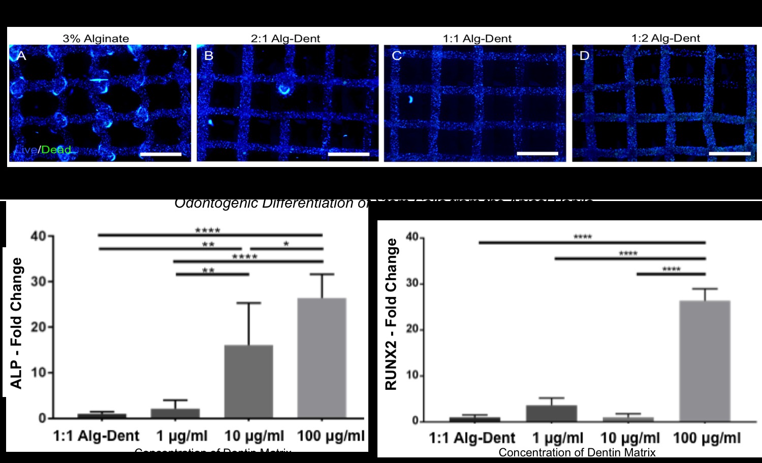 Viability and differentiation of 3D-printed cells