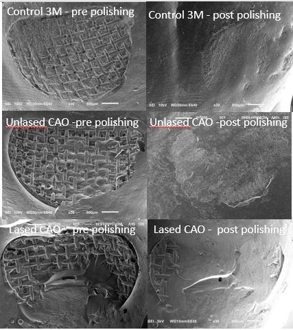Figure 3. Scanning Electronic Micrographs (X30) of representative groups.