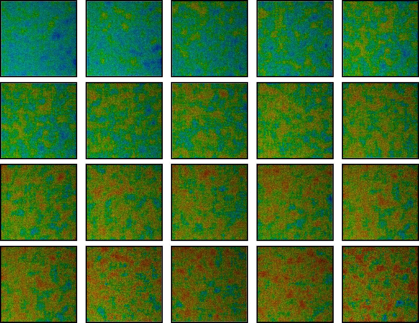 A matrix of fluorescence lifetime images obtained