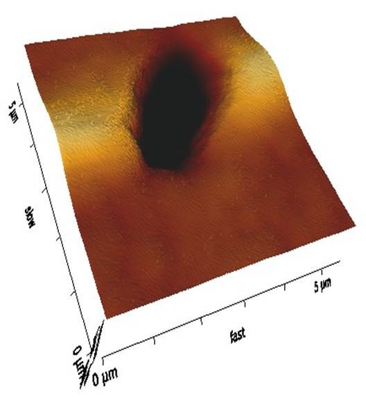 Human Coronal Dentine Single Tubule - Native