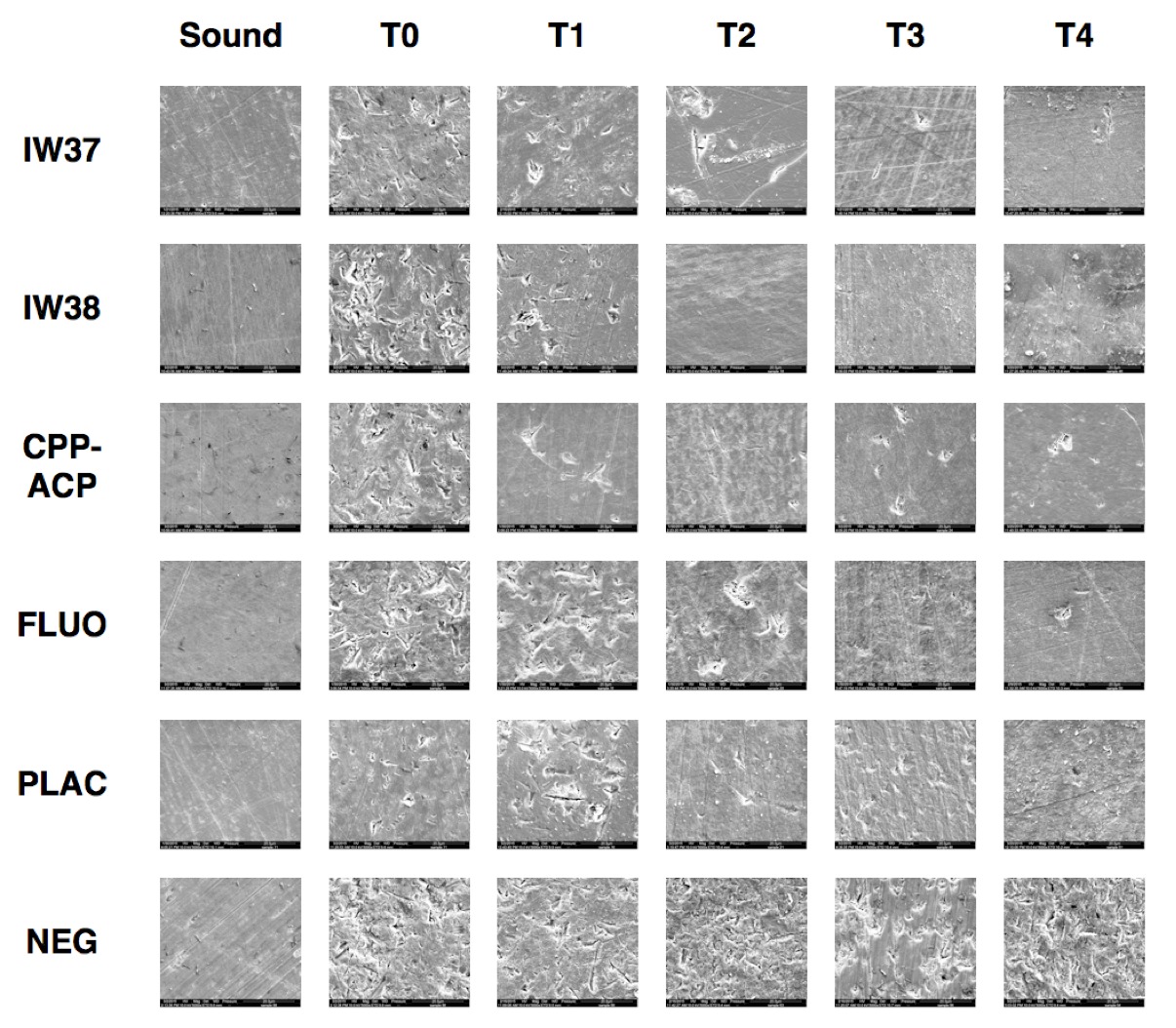 Representative SEM images (at 5000x magnification) of air abrasion-induced enamel surface defects per experimental group per time point, relative to the sound enamel. Image width is 60 μm.