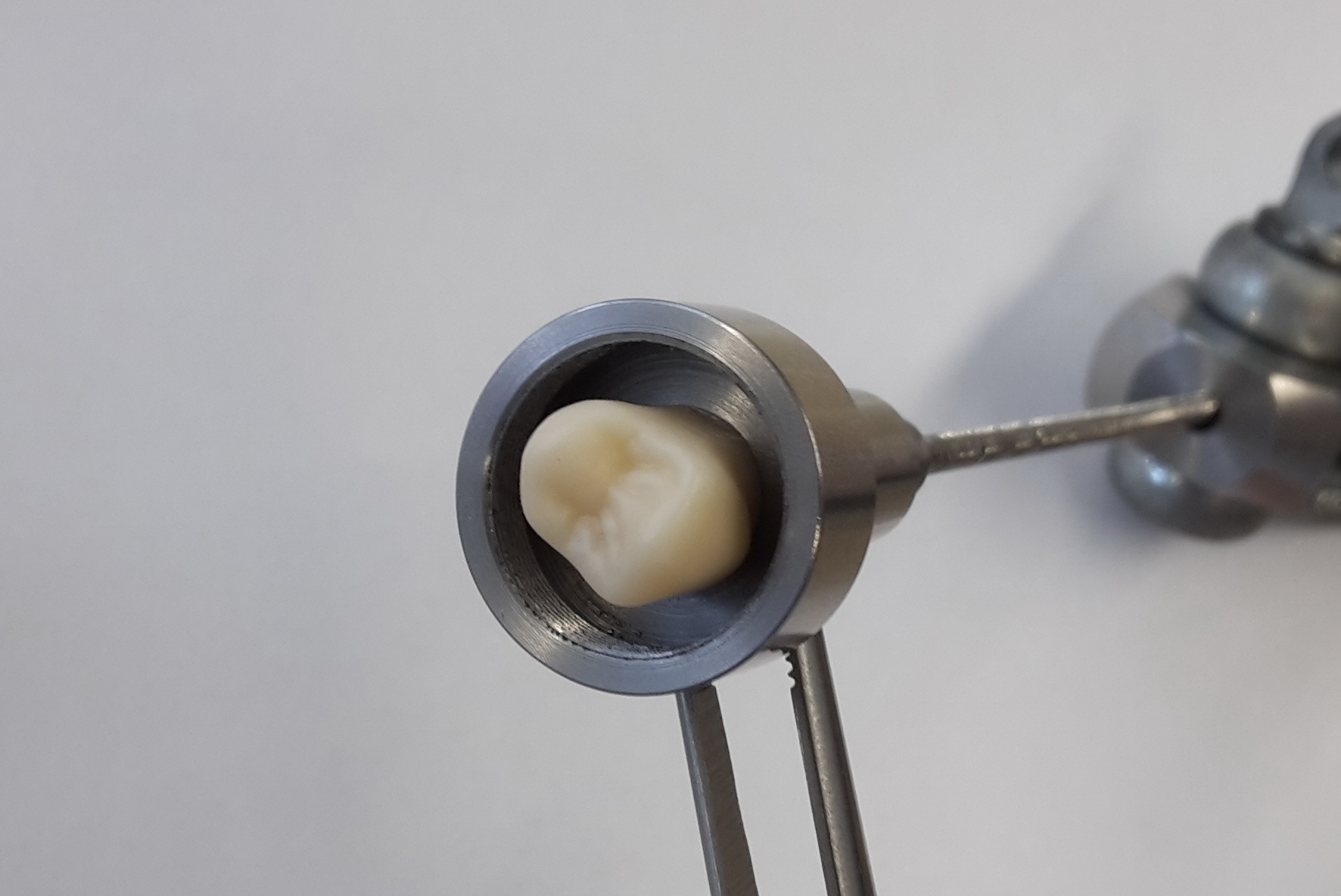 Mounting device for crown retention test in universal testing machine