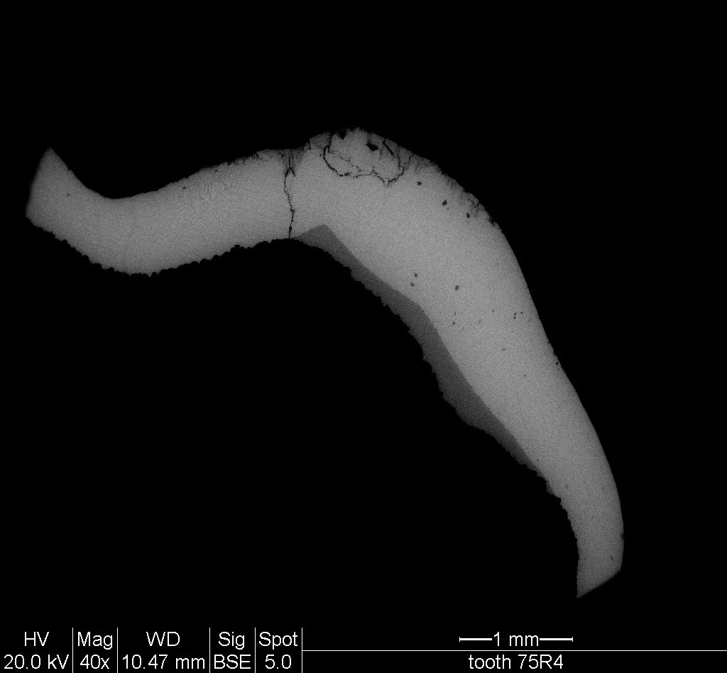 Location of the lines for chemical analyses