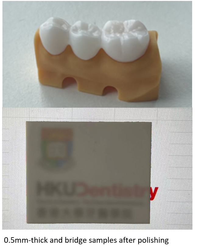 3960064_File000002.jpg