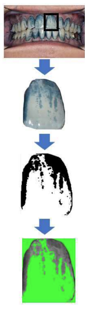 3963721_File000000.jpg