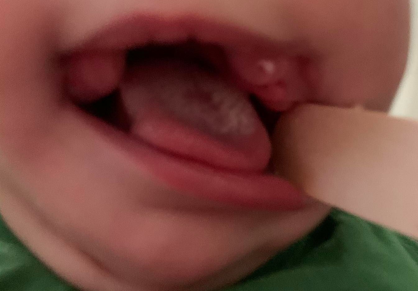 3999083_File000001.jpg